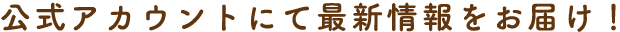 公式アカウントにて最新情報をお届け！