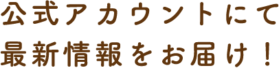 公式アカウントにて最新情報をお届け！